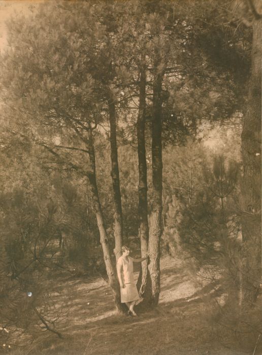 Bossen