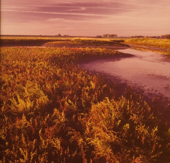 Waterloop
