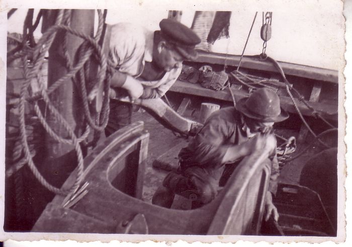 Garnaalvissers