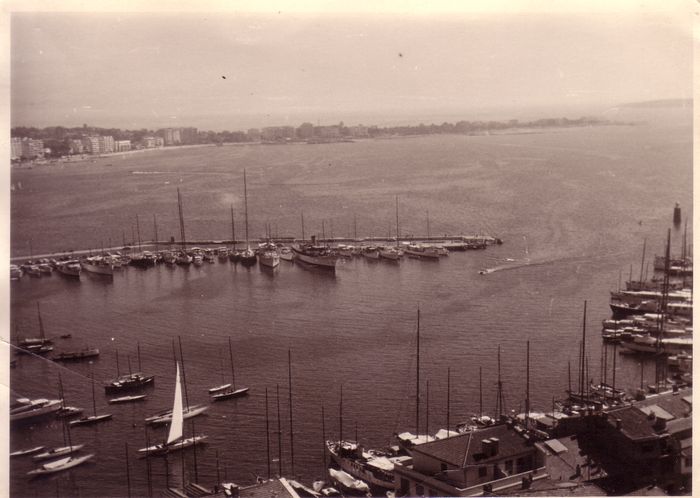 Havenzicht