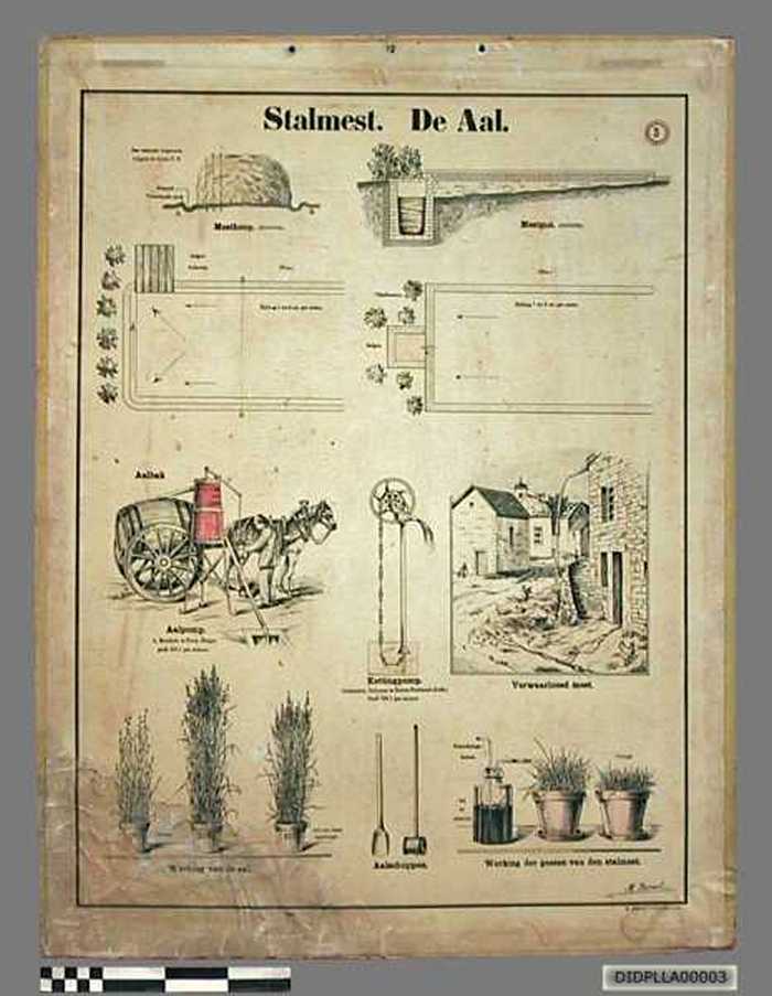Stalmest. De Aal. - DIDPLLA00003 Stalmest. De Aal.