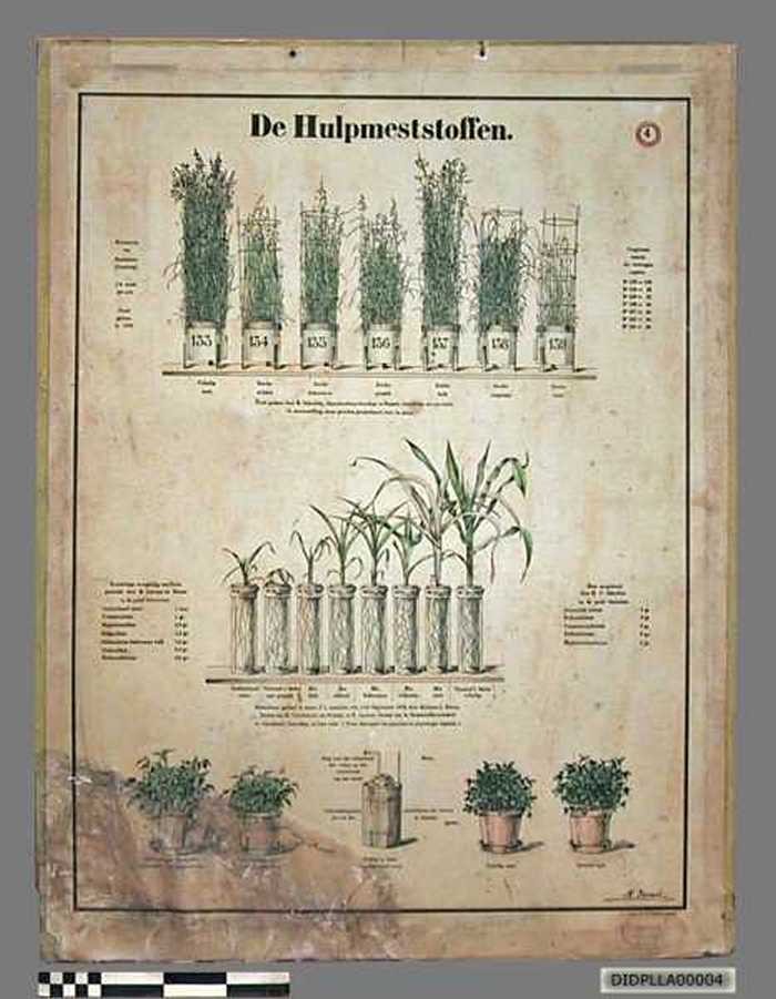 De hulpmeststoffen. - DIDPLLA00004 De hulpmeststoffen.