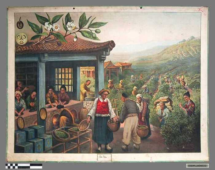 De The. - DIDPLLA00023 De The.