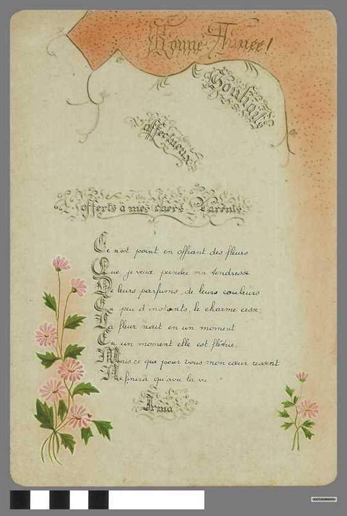 Bonne année! Irma - DOCFAGW80051 Bonne année! Irma