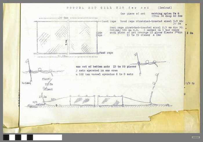 Netplannen - DOCIDXX00653 Netplannen