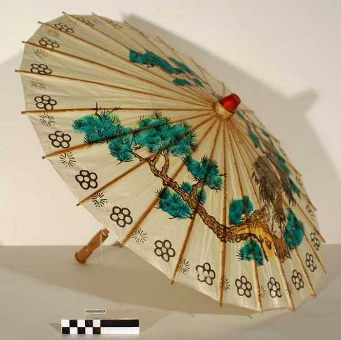 Chinese parasol