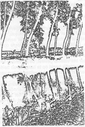 2025 01 15 131733