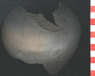 2025 05 08 101348